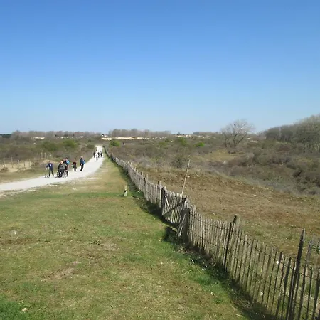 Delmare * La Panne