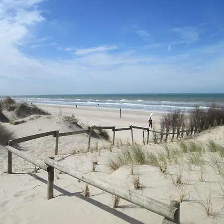 Delmare La Panne