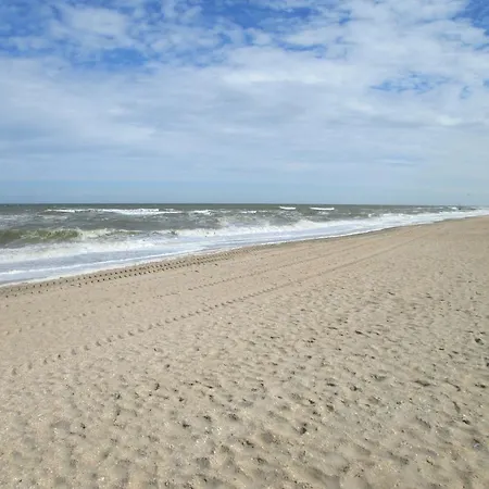 Appartement Delmare